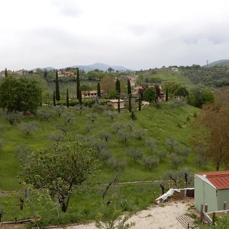 Il Gelsomino Bed & Breakfast Frasso Sabino Eksteriør bilde