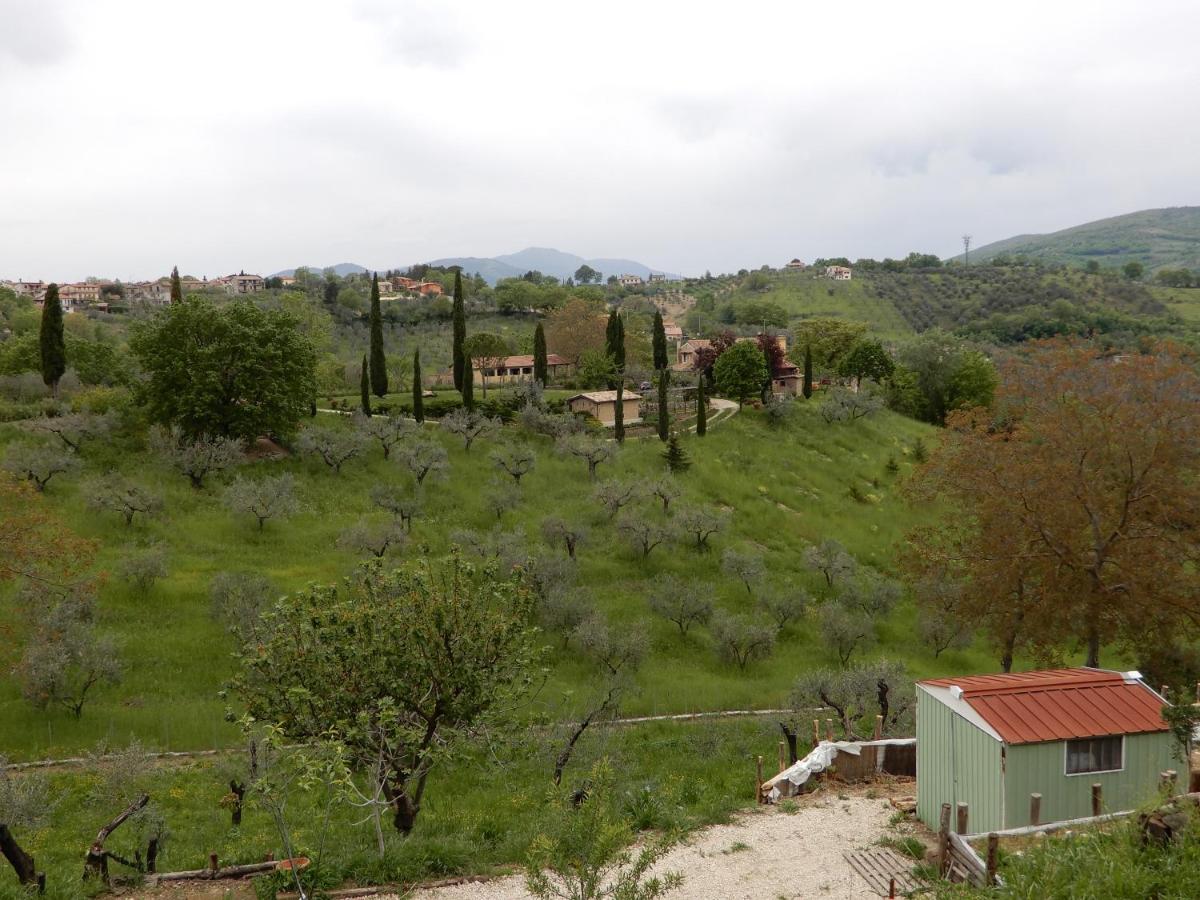 Il Gelsomino Bed & Breakfast Frasso Sabino Eksteriør bilde